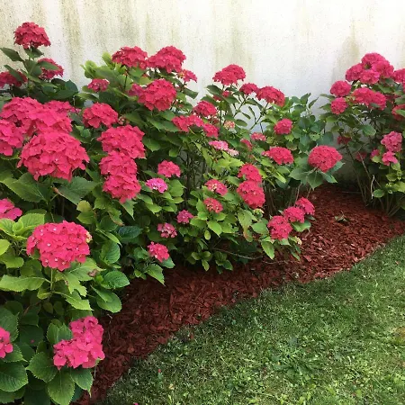 Au Jardin Apartament