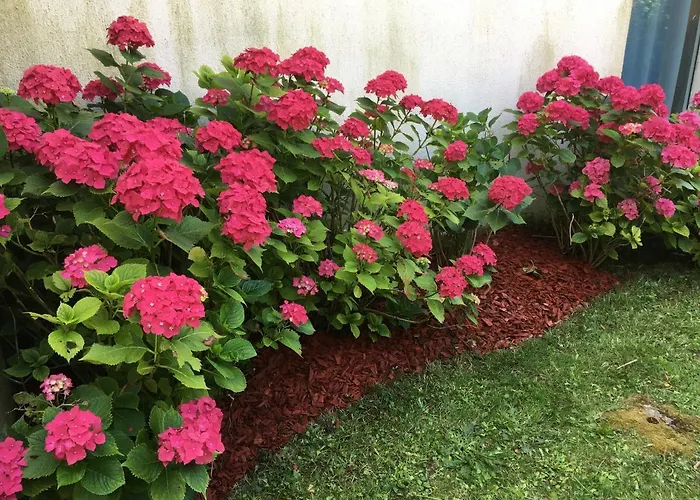 Au Jardin Appartement